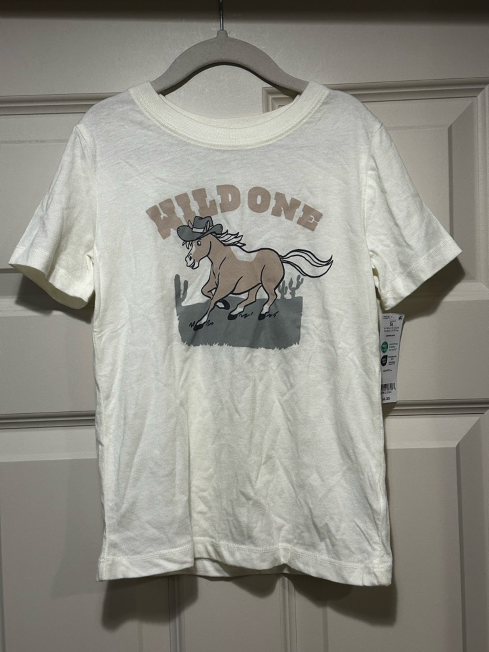 Boys 5T Graphic Tee NWT
